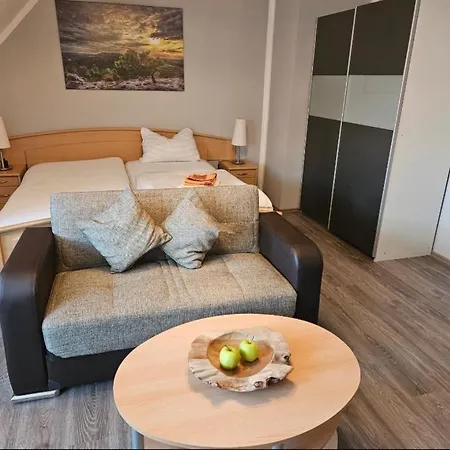 Zur Schmiede ホテル 4*