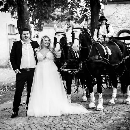 Zur Schmiede ホテル